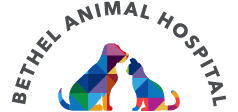 Bethel Animal Hospital 