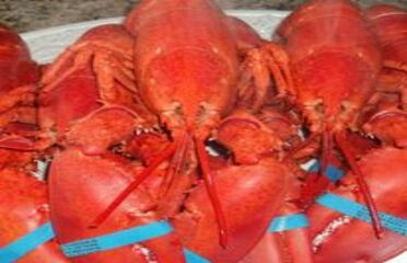 High Tide Low Tide Seafood 